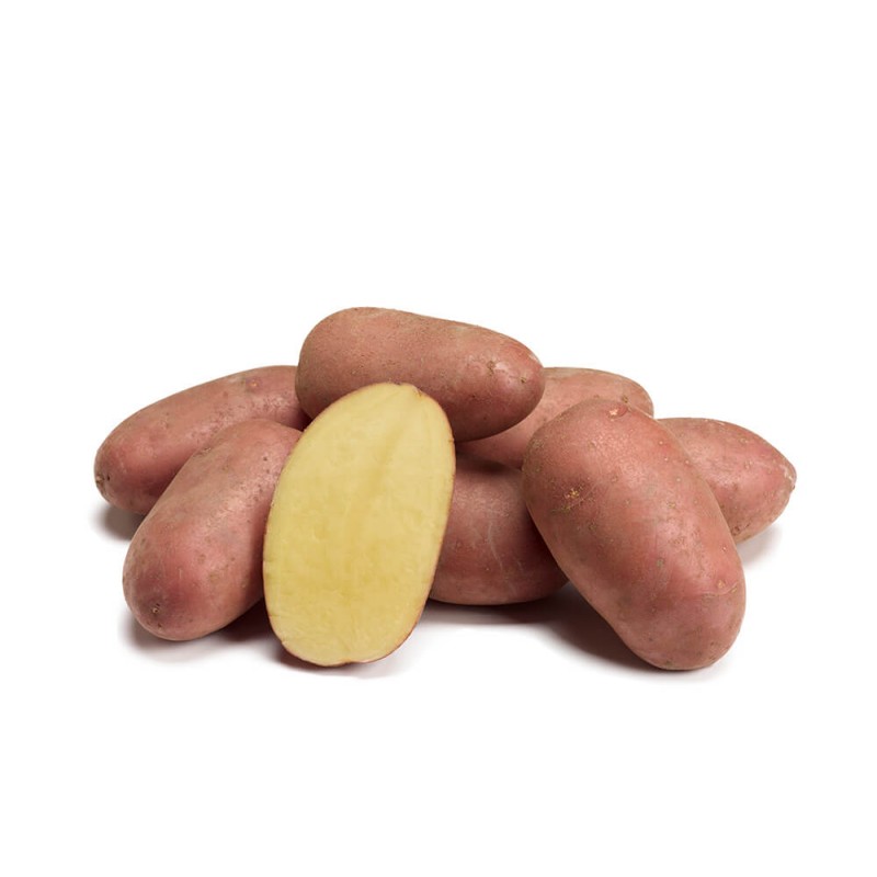 KROMPIR SEMENSKI ALOUETTE A28/35 25KG