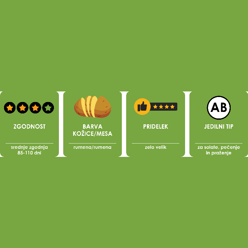 KROMPIR SEMENSKI CAMELIA A 35/55 5KG