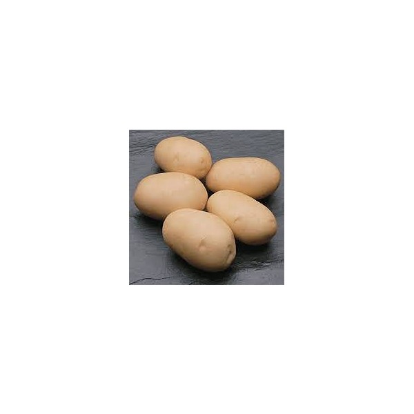 KROMPIR SEMENSKI MARABEL 35/55 10KG