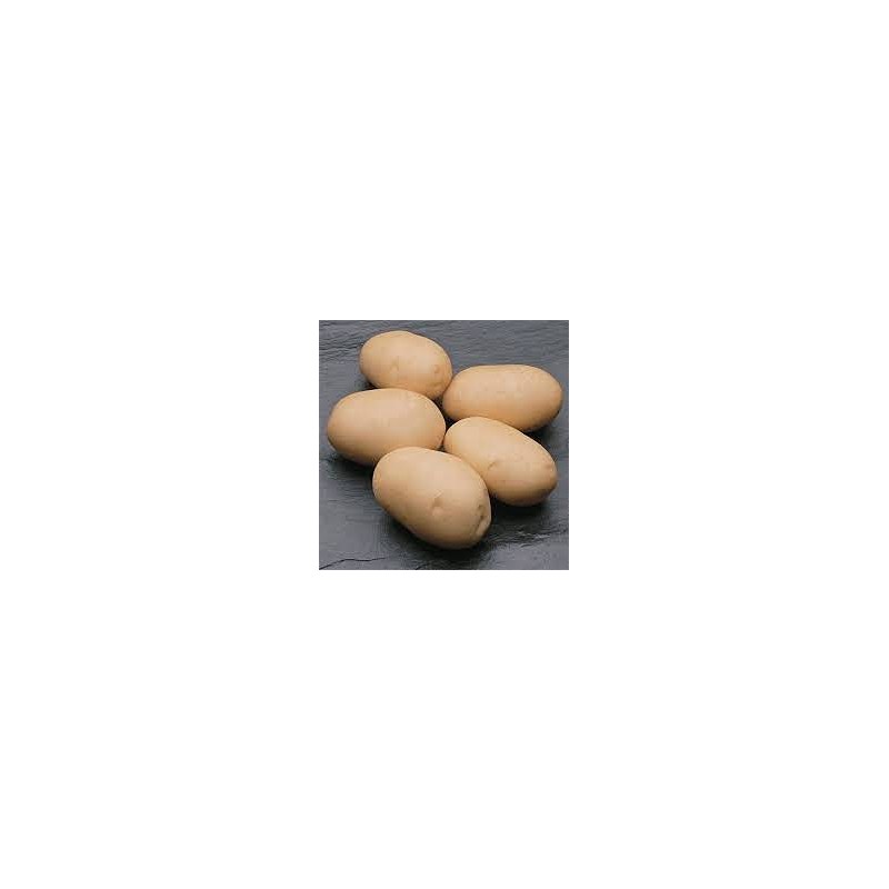 KROMPIR SEMENSKI MARABEL 35/55 10KG